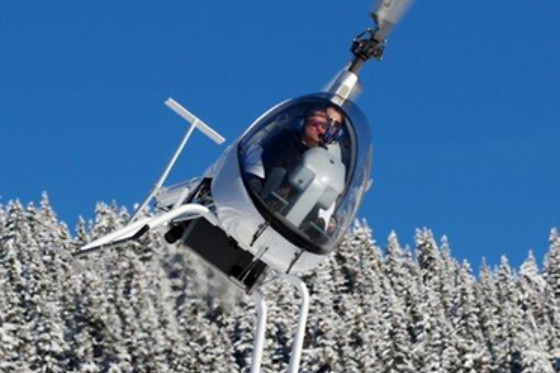 Les Volatiles - photo 7