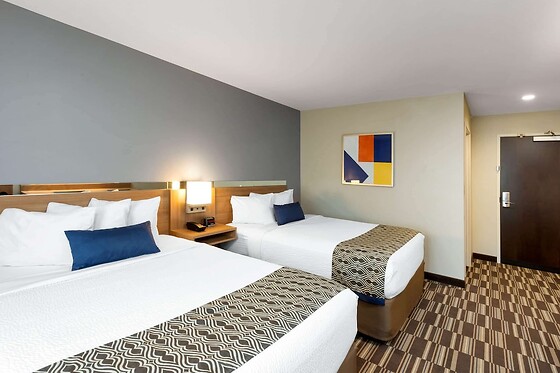 Online Booking EPS - photo 0