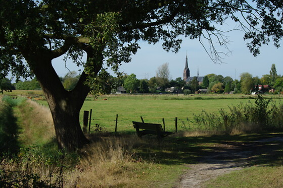 De Zwammenberg - photo 14