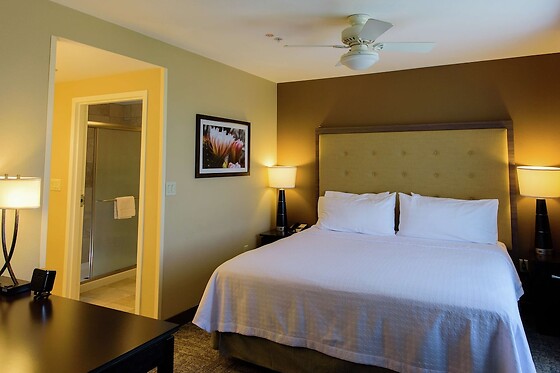 Online Booking EPS - photo 5