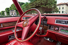 Cady Cruise