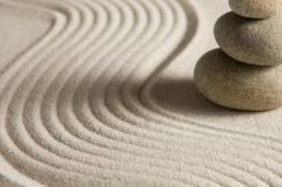 ACTITUD ZEN - photo 0