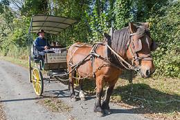 Les Ecuries de la Gare