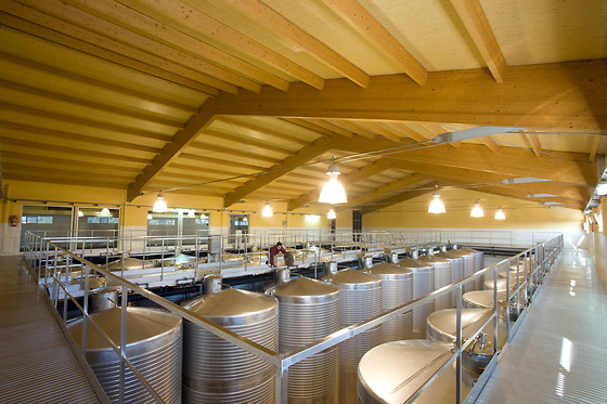 BODEGAS MARTÍN CÓDAX - photo 3