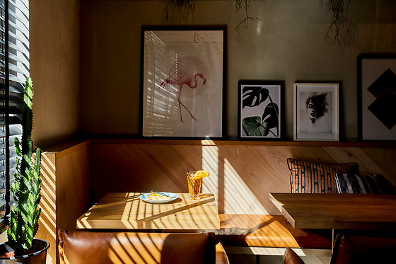 Hotel Indigo Antwerpen - photo 0