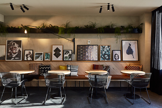 Hotel Indigo Antwerpen - photo 1