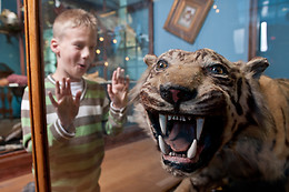 Natuur Museum Fryslân
