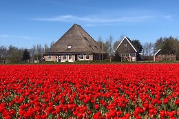 Idylle Aan Zee