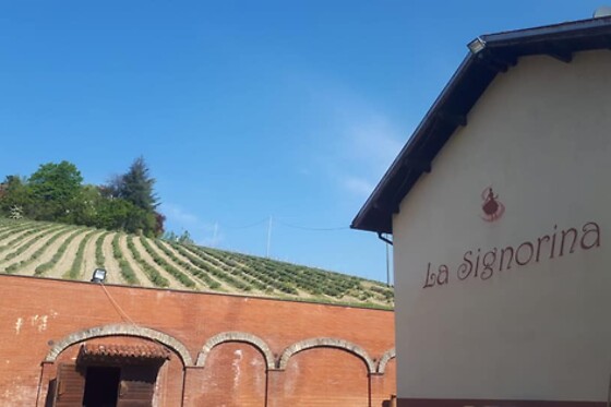 Cascina La Signorina - photo 3