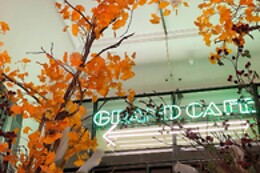 Nieuw Rotterdams Cafe