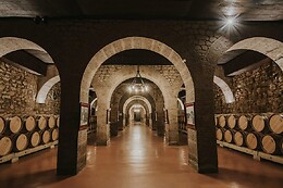 Mitra De nieuwe bourgondier