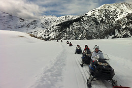 SLEDS