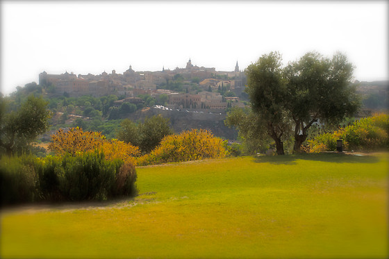 HOTEL CIGARRAL EL BOSQUE - photo 26