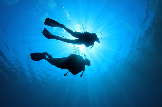 SOTACERO DIVING - photo 1
