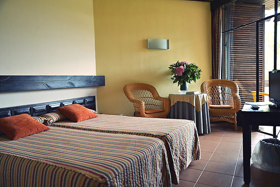 HOTEL BAZTAN - photo 2