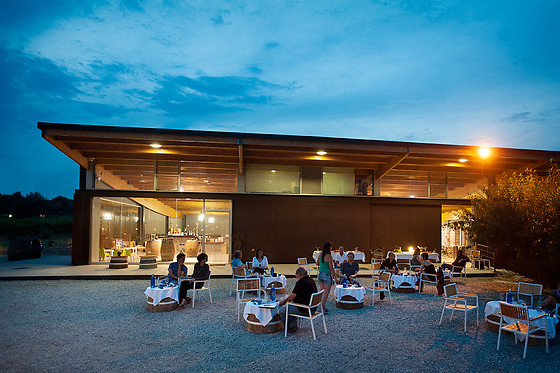 BODEGA LA VINYETA - photo 2