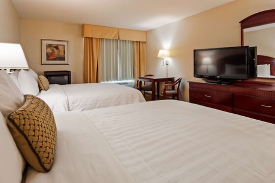 Online Booking EPS - photo 8