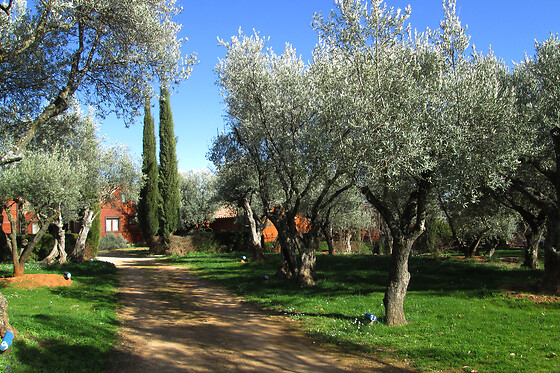 CAMPING ALQUEZAR - photo 4