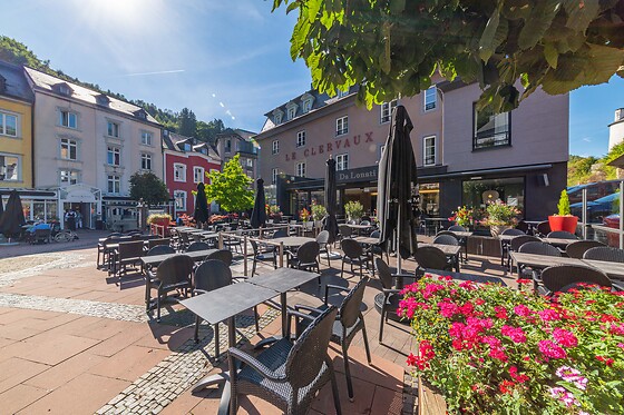 Clervaux Boutique Hôtel & Spa**** - photo 6