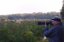 Birding Holland Oostvaardersplassen