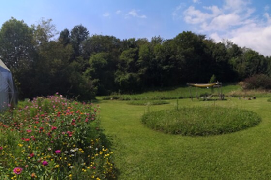 Glamping That's Life - photo 6