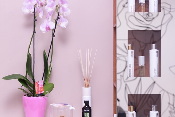 Alixis Hair & Beauty - photo 2