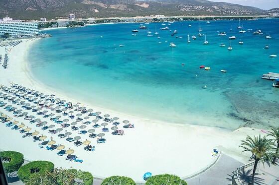 Online Booking EPS - photo 0