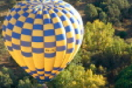 THE BALLOON COMPANY - photo 4
