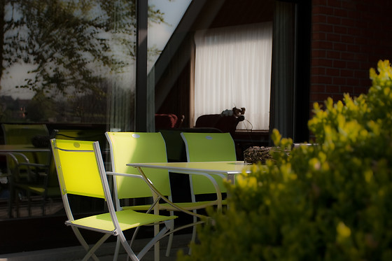 B&B Goudsbloempje - photo 8