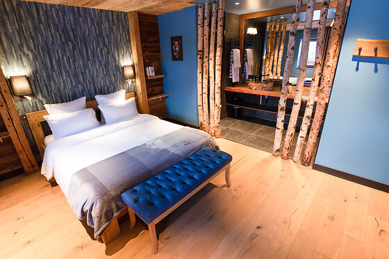Chalet 1703 - photo 3