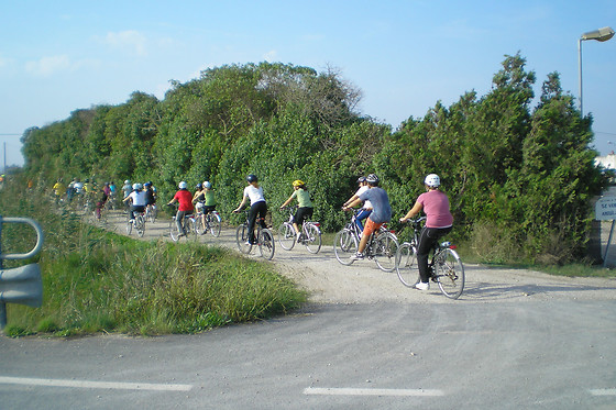 PARC D'AVENTURA I NATURA DELTAVENTUR - photo 16