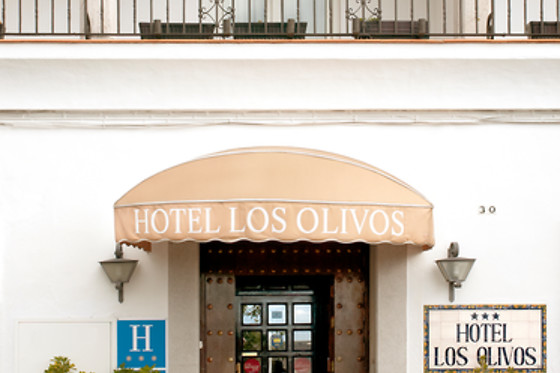 HOTEL LOS OLIVOS - photo 7