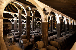BODEGAS BARBADILLO
