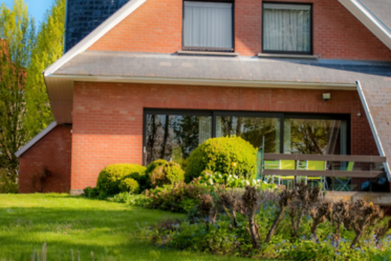 B&B Goudsbloempje - photo 15