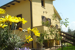 Fattoria Del Quondam