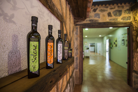 ALMAZARA SOLEAE - photo 1