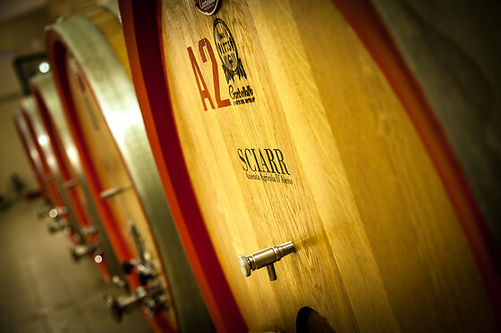 D'alesio Sciarr - photo 0