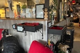 The Coffee Cat