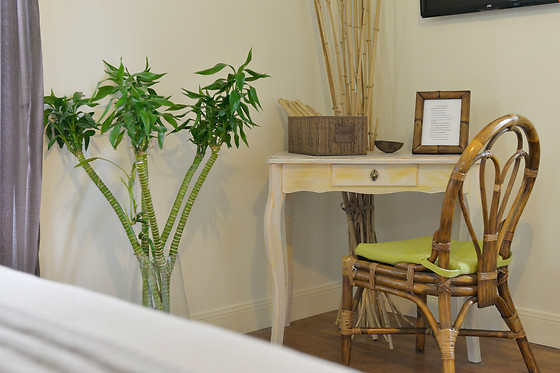 Chambre d'hôtes Les Ifs - photo 7