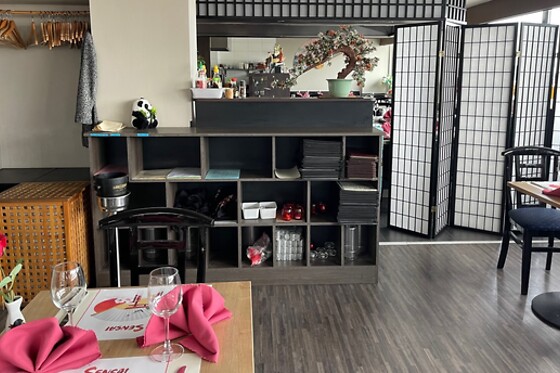 Sensai - photo 4