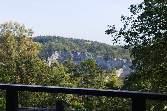 Le Bungalow du Bonsoy Fauve 1 - photo 2