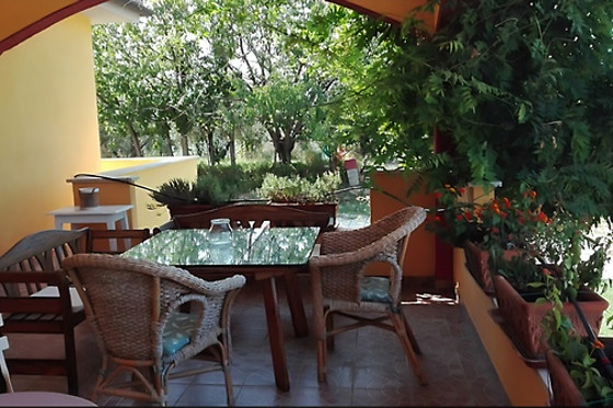 Viaggiatori d'Intento - photo 3