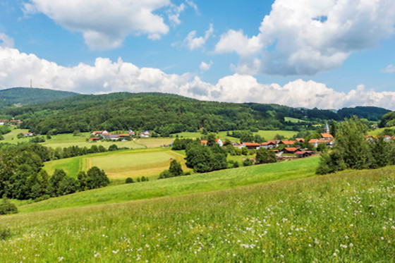 Landgut Stetter - photo 1