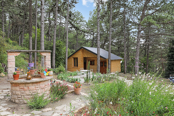 Le Mas des Arbousiers - photo 3