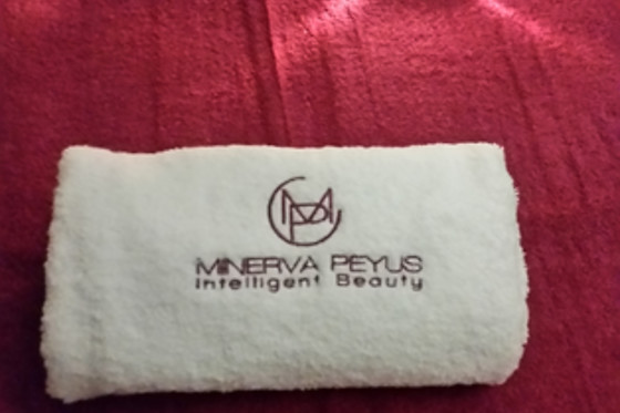 MINERVA PEYÚS INTELLIGENT BEAUTY - photo 3