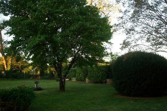 Hôtellerie La Borie - photo 11